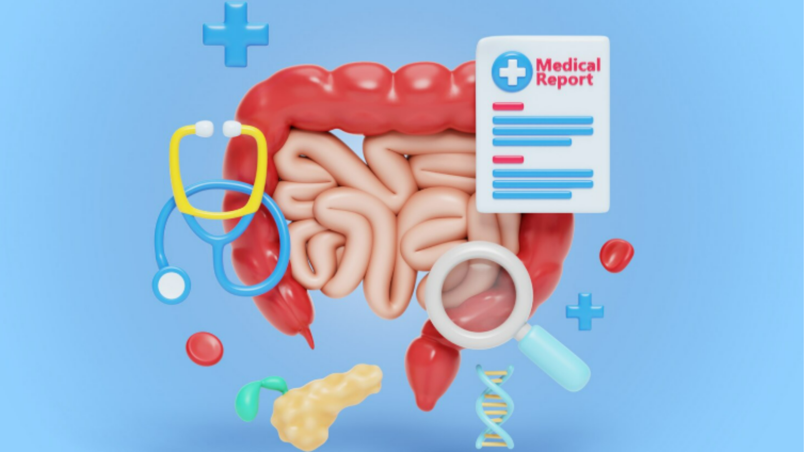 Microbiota Intestinal e Bem-Estar | Gabriela Godoy